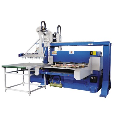 HG-B100T hydraulic blister ps foam cut making machine